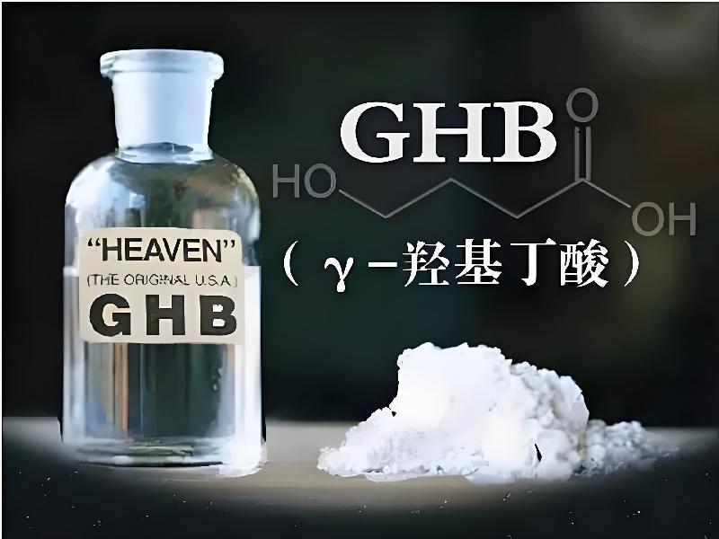催听迷用品3533-DaqX型号